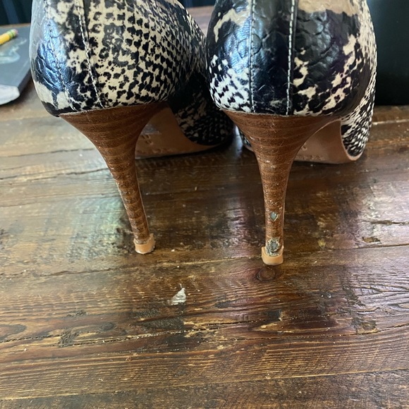 Coach Smith Python Pump Fog size 6 - Picture 9 of 10